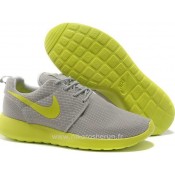 Chaussures Nike Roshe Run Mesh Homme Gray Apple Roshe Run Mesh Boutique Paris